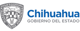 brands chihuahua.png
